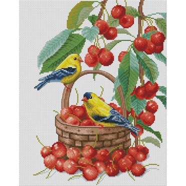 Maydear Stamped Cross Stitch Kits, DIY Embroidery Starter Kits for