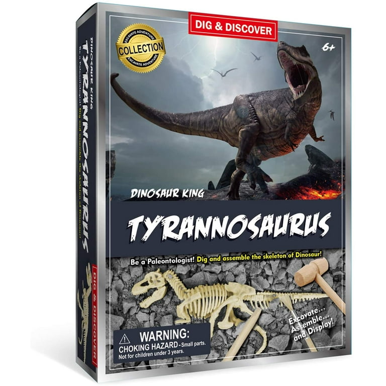 Discovery education hotsell science toys