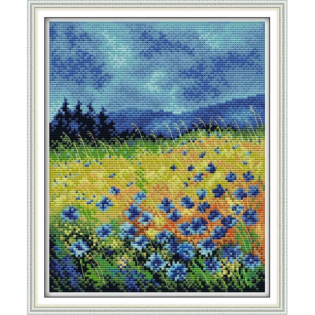 Maydear Stamped Cross Stitch Kits, Embroidery Starter Kits for