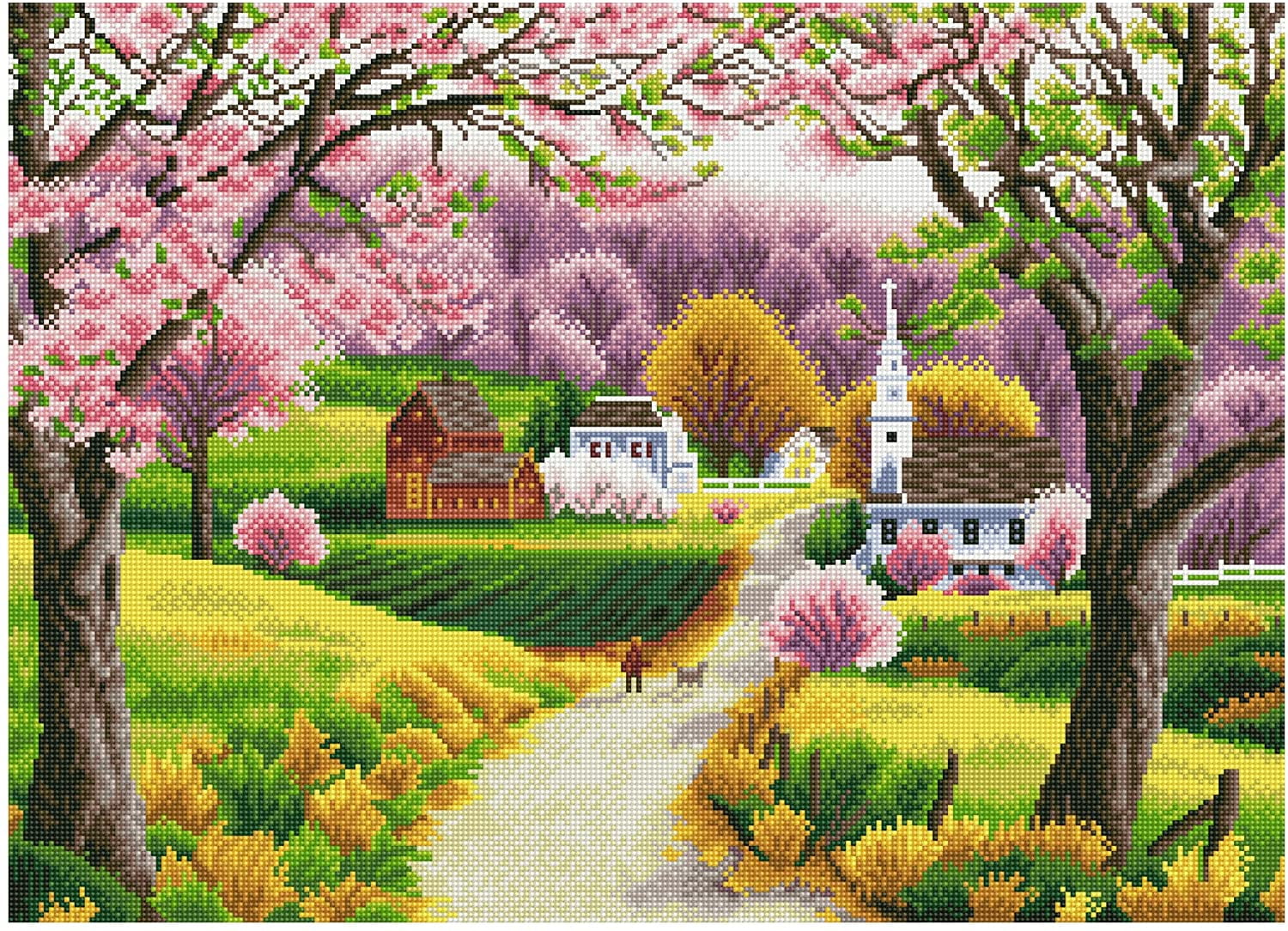 Maydear Stamped Cross Stitch Kits, Embroidery Starter Kits for