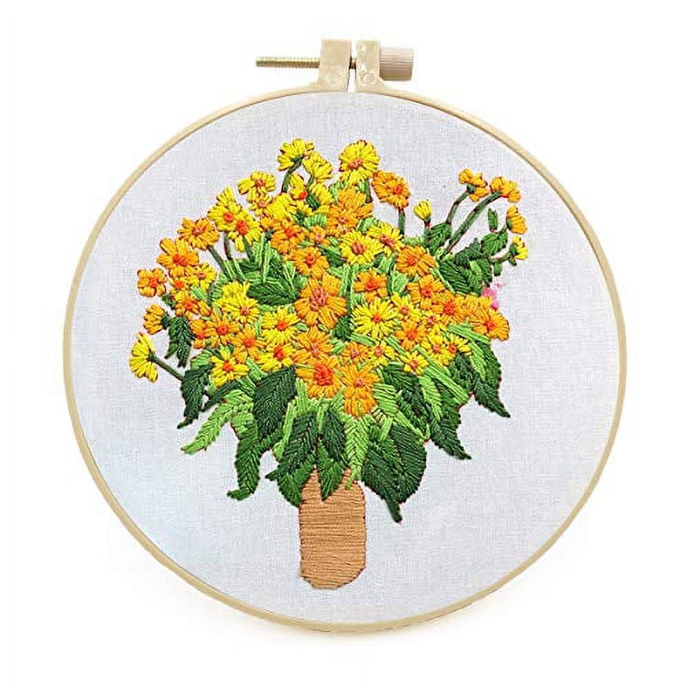 Maydear Stamped Embroidery Kit for Beginners with Pattern, Cross Stitch