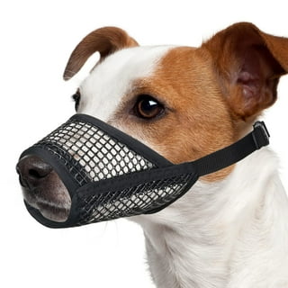 Mouth guard for puppies 2025