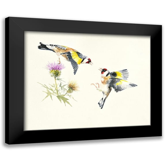 Mayes, Hilary 24x20 Black Modern Framed Museum Art Print Titled - Goldfinches