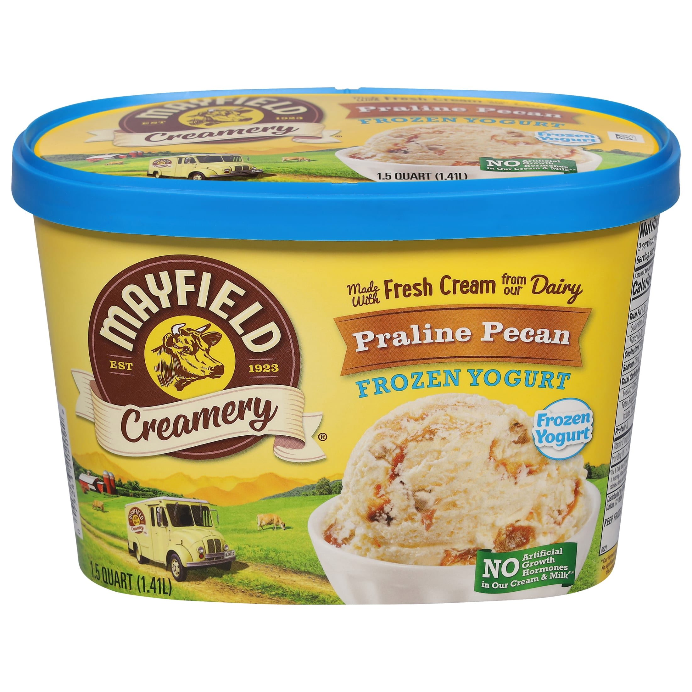 Mayfield Creamery Praline Pecan Frozen Yogurt 1.5 qt - Walmart.com