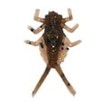 thumbnail image 1 of Mayfly - Mudbug (#960), 1 of 1