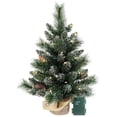 thumbnail image 1 of Mayhihi 2FT Pre-Lit Small Christmas Tree with Pine Cone, Pine Needles & PVC Branches, Burlap Base, 1 of 6