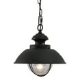 thumbnail image 1 of Gothic Pendant Light - Black Farmhouse Barn Light with Glass Shade - Indoor Outdoor Ceiling Fixture, 1 of 1