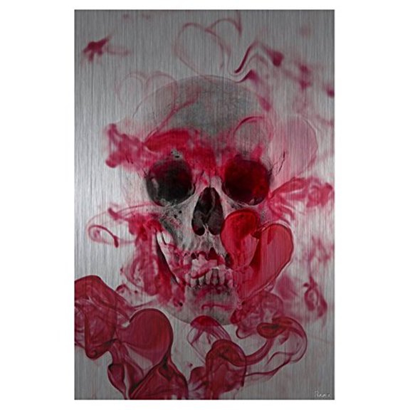 Metal Wall Art Skull Print - Modern Aluminum Painting - Island Decor - Signed Art Print