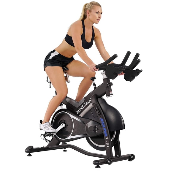 Maykoosh Magnetic Commercial Indoor Cycling Bike