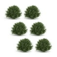 thumbnail image 1 of Spring Grass Orb Set - Decorative Greenery for Home Decor - 6 Half Sphere Faux Plants, 1 of 1