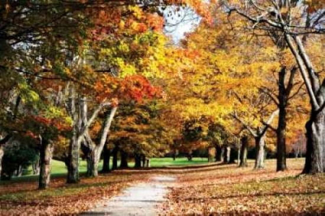 Maymont Maples I Canvas Art - Alan Hausenflock (12 x 18)