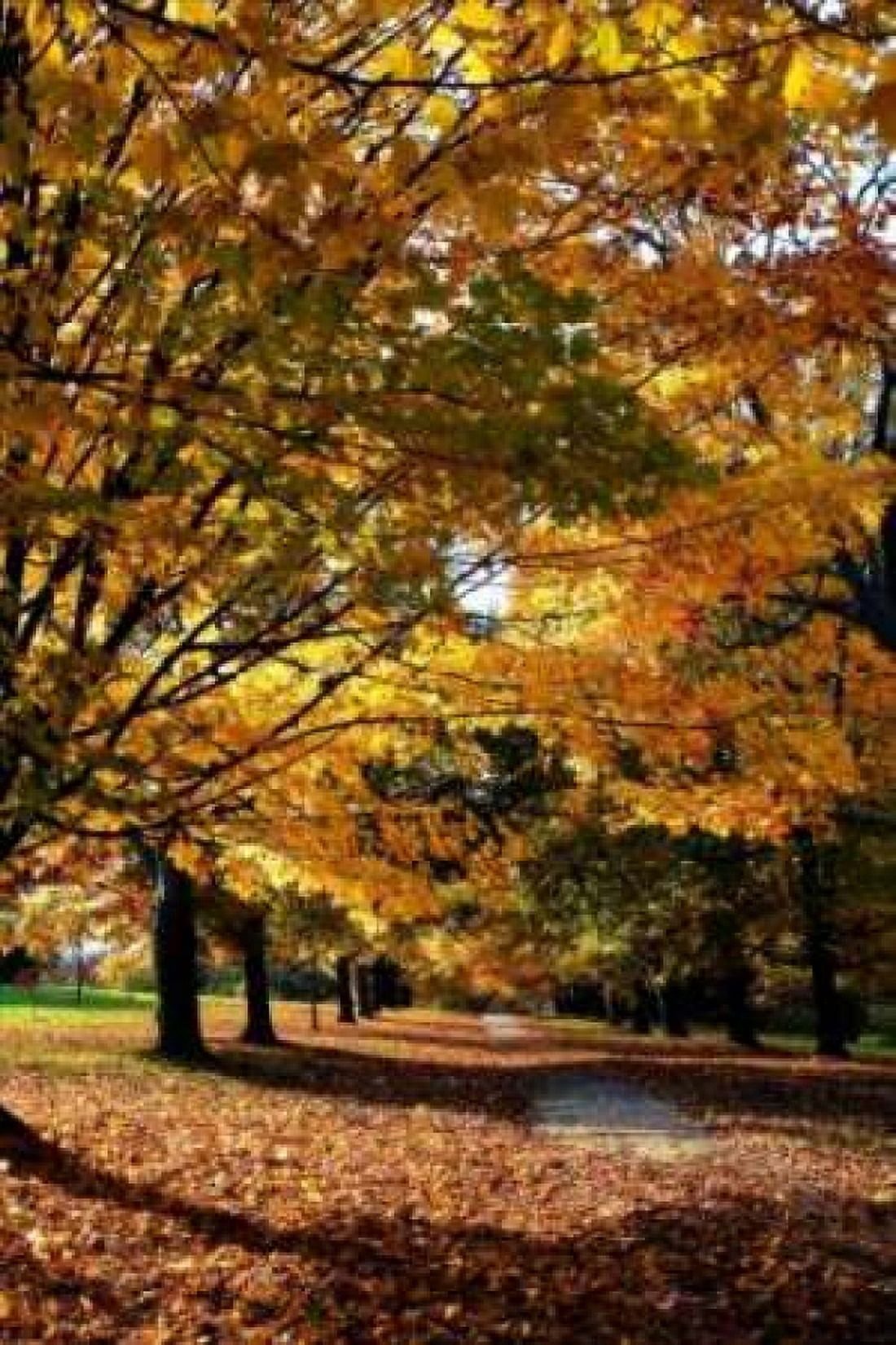 Maymont Maples IV Canvas Art - Alan Hausenflock (12 x 18)