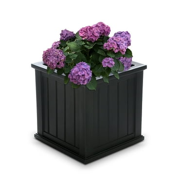 Mayne Cape Cod 20" x 20" x 20" Square Black Self-Watering Polyethylene Planter