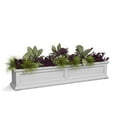 thumbnail image 1 of Mayne Fairfield 60" x 11" x 11" Rectangular White Self Watering Plastic Window Box Planter, 1 of 18