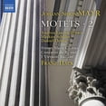 thumbnail image 1 of Mayr / Hauk / Mallmann - Motets 2 - Music & Performance - CD, 1 of 1