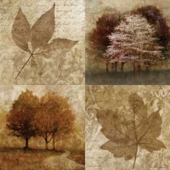 Mays Arrival I Canvas Art - Nan (8 x 24)