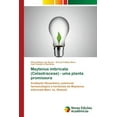 thumbnail image 1 of Maytenus imbricata (Celastraceae) - uma planta promissora (Paperback), 1 of 1