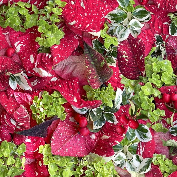 Maywood Studio Hand Picked Christmas Jolly 100% Cotton Fabric By the Yard