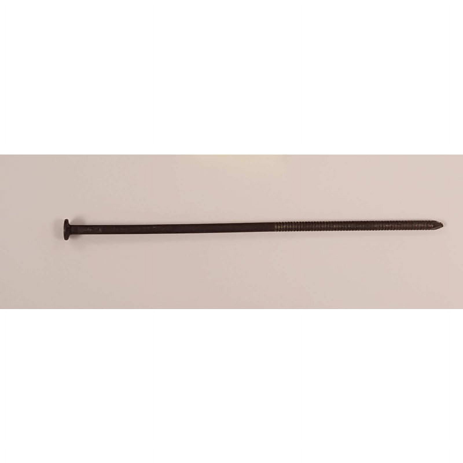 Maze Nails 8 in. Framing Heat Treated Steel Nail Flat Head 50 lb Maze Nails 8 in. Framing Heat Treated Steel Nail Flat Head 50 lb