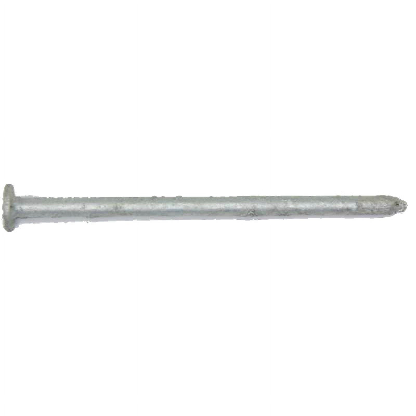 Maze Nails HD85M61 HotDip Galvanized Fiber Cement Siding Nails, 21/2", 5 Lbs, Each