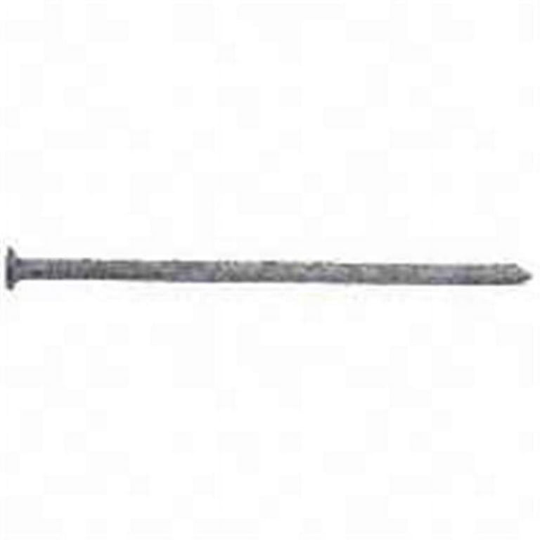 Maze Nails 5D 1-3/4 in. Siding Hot-Dipped Galvanized Steel Nail Flat Head 1 lb Maze Nails 5D 1-3/4 in. Siding Hot-Dipped Galvanized Steel Nail Flat Head 1 lb
