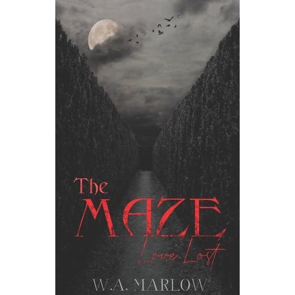 Maze: The Maze (Paperback)