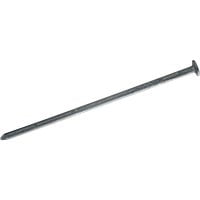 Maze, W. H. Maze Wood Siding Nails, Case of 4