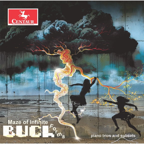 Buch - Maze of Infinite Forms - Music & Performance - CD