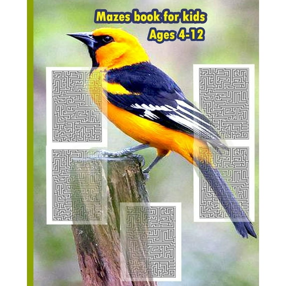 Mazes book For Kids Ages 4-12: Fun and challenge with Mazes for Kids, size 7.5'x9.25' - 154 pages, (Paperback)