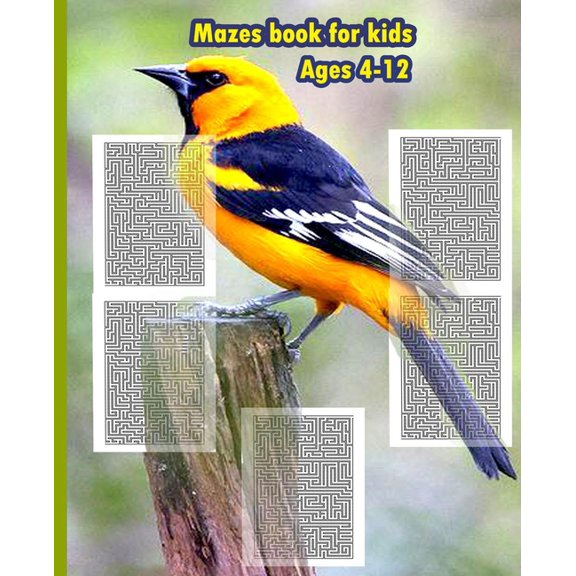 Mazes book For Kids Ages 4-12: Fun and challenge with Mazes for Kids, size 7.5'x9.25' - 154 pages, (Paperback)