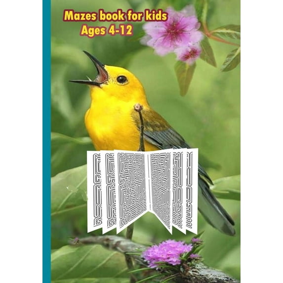 Mazes book For Kids Ages 4-12: Fun and challenge with Mazes for Kids, size 7'x10',154 pages, (Paperback)