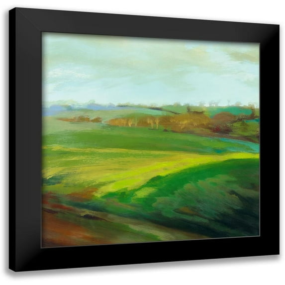 Mazur-Devaux, Ewa 15x15 Black Modern Framed Museum Art Print Titled - Champs verts