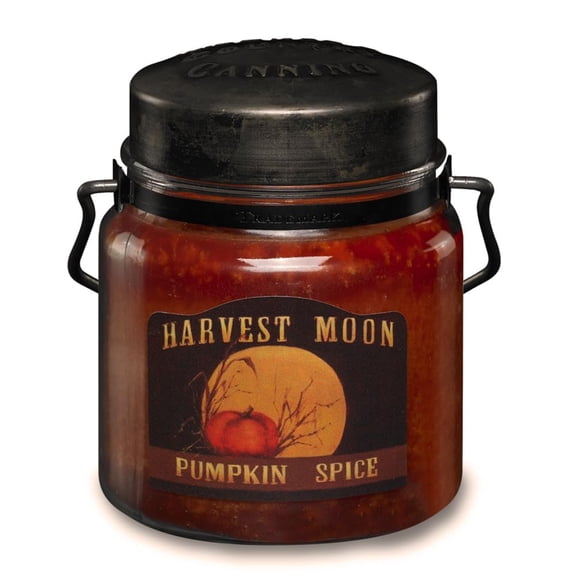 McCall’s Candles | Pumpkin Spice | 16 oz Scented Candle | USA-Poured | Vintage Rustic Jar with Carrying Handles | Warm Fall-Inspired Fragrance
