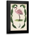thumbnail image 1 of McCavitt, Naomi 10x14 Black Modern Framed Museum Art Print Titled - Antiquarian Menagerie - Flamingo II, 1 of 5