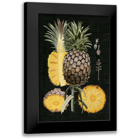 McCavitt, Naomi 11x14 Black Modern Framed Museum Art Print Titled - Graphic Pineapple Botanical Study II