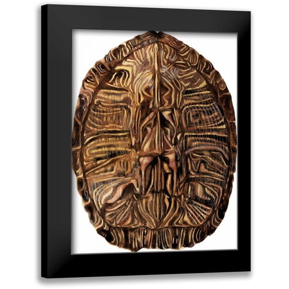 McCavitt, Naomi 11x14 Black Modern Framed Museum Art Print Titled - Tortoise Shell Detail II