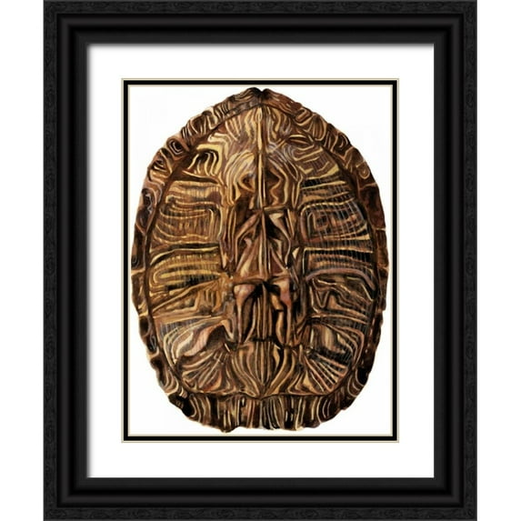 McCavitt, Naomi 11x14 Black Ornate Wood Framed with Double Matting Museum Art Print Titled - Tortoise Shell Detail II