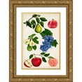 thumbnail image 1 of McCavitt, Naomi 11x14 Gold Ornate Wood Framed with Double Matting Museum Art Print Titled - Fruit Collection I, 1 of 4