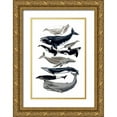 thumbnail image 1 of McCavitt, Naomi 11x14 Gold Ornate Wood Framed with Double Matting Museum Art Print Titled - Whale Display I, 1 of 4