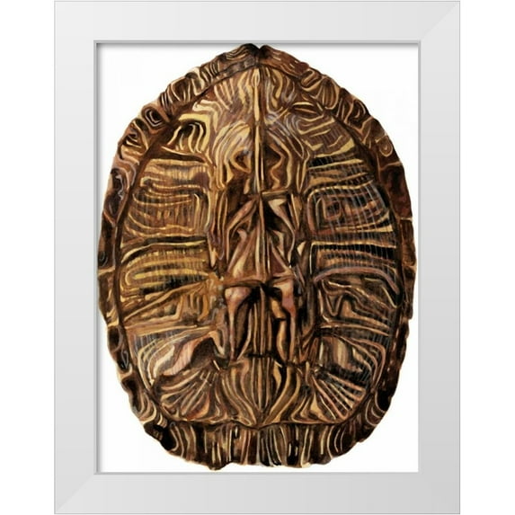 McCavitt, Naomi 11x14 White Modern Wood Framed Museum Art Print Titled - Tortoise Shell Detail II