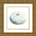 thumbnail image 1 of McCavitt, Naomi 12x12 Gold Ornate Wood Framed with Double Matting Museum Art Print Titled - Seashore Souvenirs II, 1 of 4