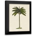 thumbnail image 1 of McCavitt, Naomi 12x14 Black Modern Framed Museum Art Print Titled - British Palms IV, 1 of 5