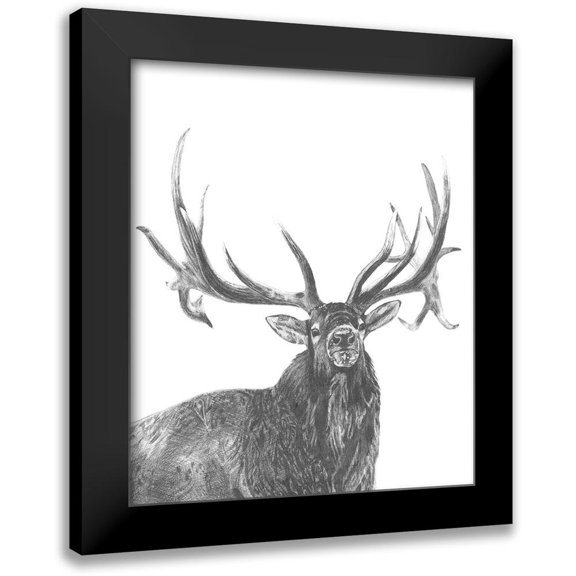 McCavitt, Naomi 12x14 Black Modern Framed Museum Art Print Titled - Wildlife Snapshot: Elk