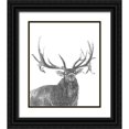 thumbnail image 1 of McCavitt, Naomi 12x14 Black Ornate Wood Framed with Double Matting Museum Art Print Titled - Wildlife Snapshot: Elk, 1 of 4