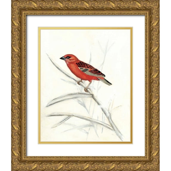 McCavitt, Naomi 12x14 Gold Ornate Wood Framed with Double Matting Museum Art Print Titled - Rustic Aviary IV