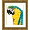 thumbnail image 1 of McCavitt, Naomi 12x14 Gold Ornate Wood Framed with Double Matting Museum Art Print Titled - Watercolor Parrot, 1 of 4
