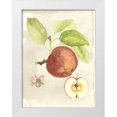 thumbnail image 1 of McCavitt, Naomi 12x14 White Modern Wood Framed Museum Art Print Titled - Custom Watercolor Fruit IV (ASH), 1 of 4