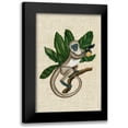 thumbnail image 1 of McCavitt, Naomi 13x18 Black Modern Framed Museum Art Print Titled - Canopy Monkey III, 1 of 5