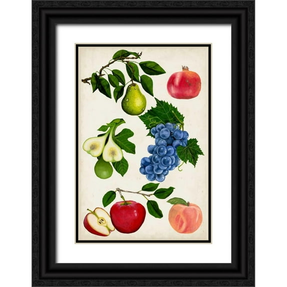 McCavitt, Naomi 13x18 Black Ornate Wood Framed with Double Matting Museum Art Print Titled - Fruit Collection I