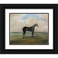 thumbnail image 1 of McCavitt, Naomi 14x12 Black Ornate Wood Framed with Double Matting Museum Art Print Titled - The Kicker- A Steel Grey Racehorse, 1 of 4